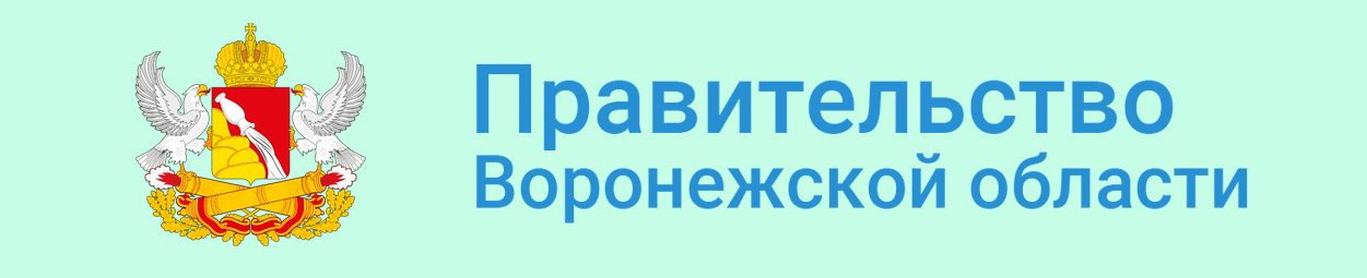 Правительство Воронежской области.