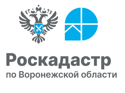 Изменился срок оплаты сведений из реестра недвижимости.